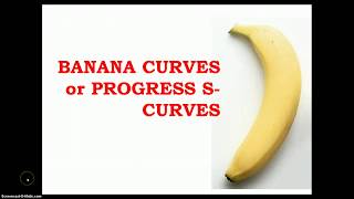 What is Project S-Curve and how to generate Banana Curves?