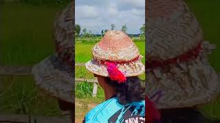 Geber - Geber Resimi