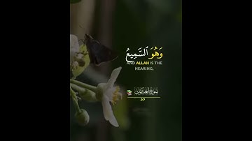 تلاوة خاشعة وآيات مباركة من سورة العنكبوت.📚/القارئ إسلام صبحي/حالات واتس أب دينية..💞