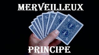 957# Ce Principe Est Merveilleux