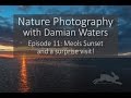 Nature photography with Damian Waters - Episode 11: Meols sunset and a surprise visitor