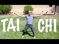 Learn Tai Chi Online