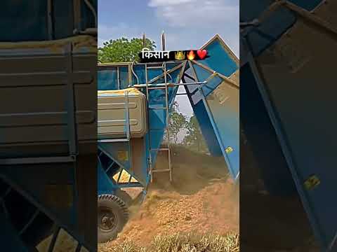 Punni Combine Harvester