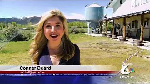 Made in Idaho: Grand Teton Brewing Company