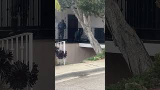 Por qué se sigue usando el hot mop  en California