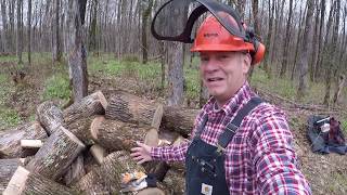 #160 BRAVE Dual Split Log Splitter. 24" Rounds for firewood? outdoor channel.