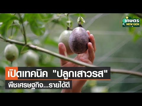 วีดีโอ: 4 วิธีในการทำความสะอาดคราบหมึกบนพรม