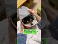 ㊗️300万再生突破‼︎!柴犬さんの動画見て笑ったら寝ろwwwwww