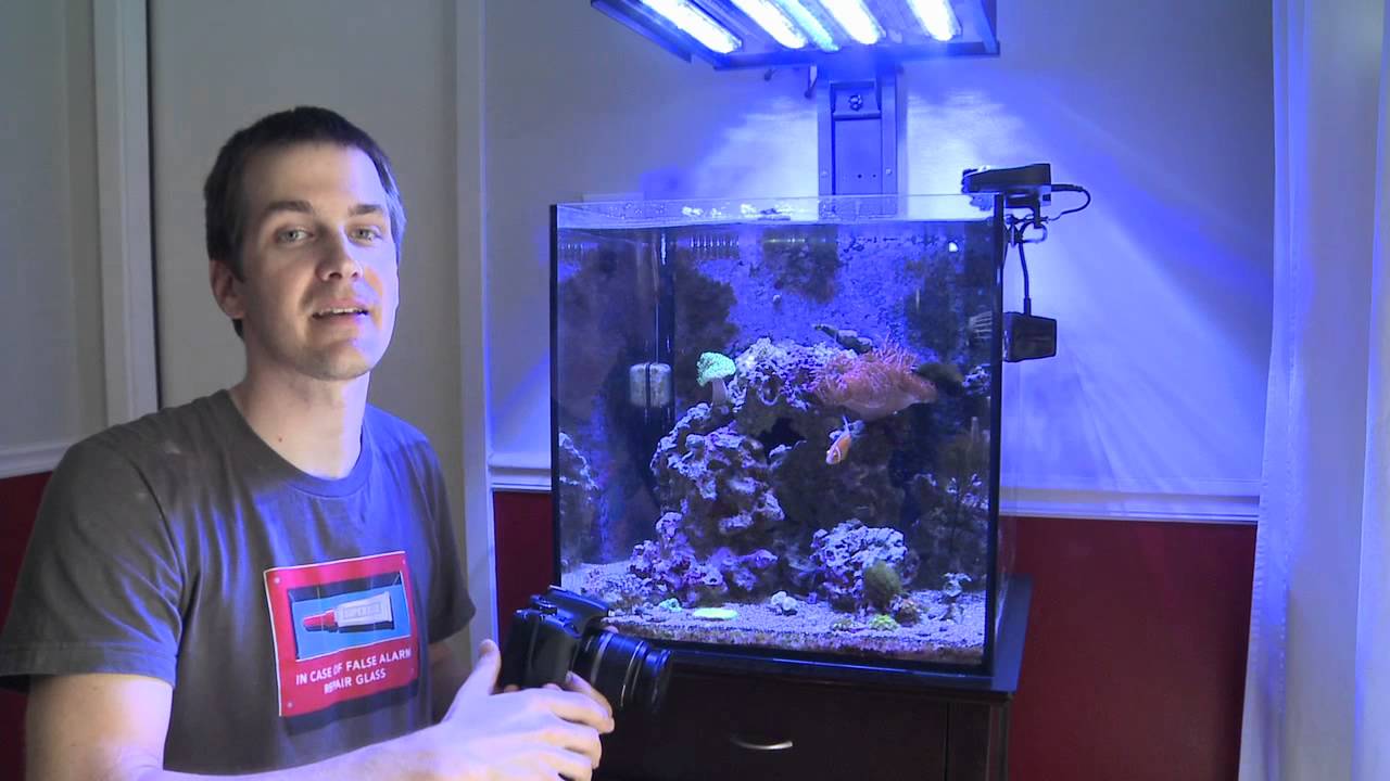 how to videos on tiktok Mr. Saltwater Tank TV Friday AM Quick Tip #49: Work it! Work it!