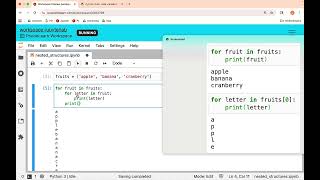 Nested Loops and Nested Lists (CS105 at UIUC)