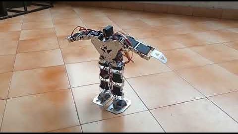 17 DoF Humanoid Video