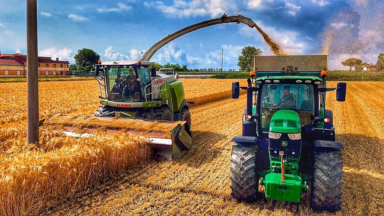 ДРОБИЛЬНЫЙ ЯЧМЕНЬ 2024 CLAAS JAGUAR 970