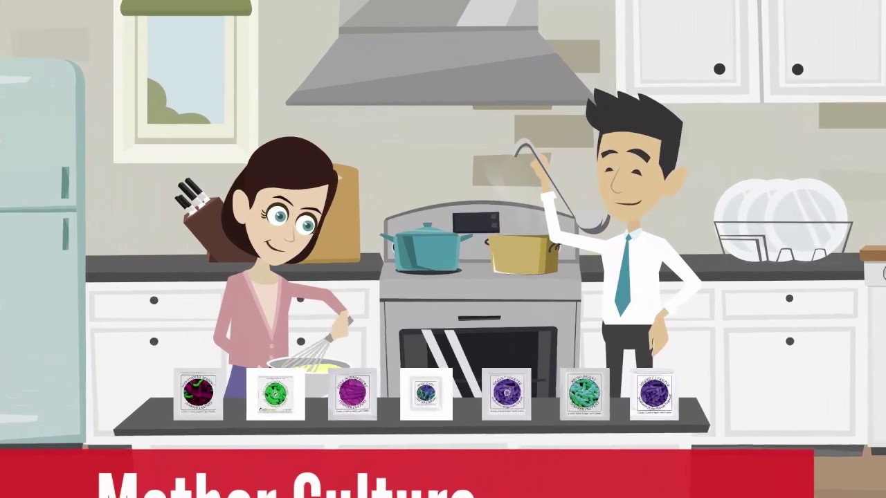 How to make thick homemade yogurt at home (with a freeze-dried starter)