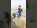 skating#practice#on road₹girlsreaction#inlineskatimg#shortvideo#youtubeshort#virals#video