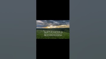 عودة إلى القرآن الكريم ، الحمد لله 🤍❤️🤍♥️🤍