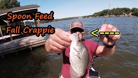 How to catch Crappie on a Spoon tips,location and lures / Jigging a spoon for fall crappie