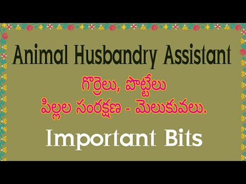 Important Bits for గ్రామ సచివాలయం Animal Husbandry Assistant.