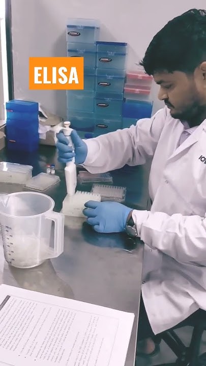 ELISA Test forensicscience serology immunology Research elisa-test-forensicscience-serology-immunology-research