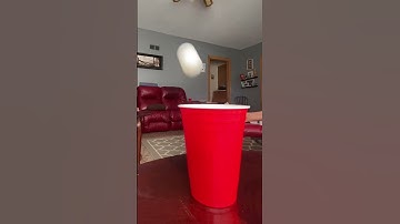 Wait For It #loop #shorts