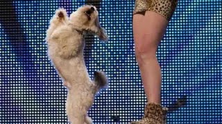 Ashleigh and Pudsey  Britain's Got Talent 2012 audition  International version