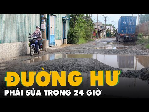 Video Tin sáng 11-10: GDP Việt Nam dự báo tăng 8,2%; Đường... - youtube