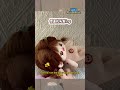 Tie a Simple and Cute Hairstyle for Your Cotton Doll#cute #20cmplush #doll