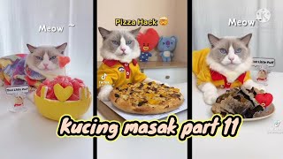 Video Kucing masak part 11 😋🍭🐈 [][] THAT LITTLE PUFF Compilation