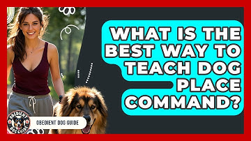 What Is The Best Way To Teach Dog Place Command? - Obedient Dog Guide