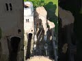 Dji Mini 3 drone - Arača - Aracsi pusztatemplom - XIII century ruins of Romanesque church II #shorts
