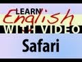 Learn English  with Video - Safari