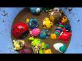 Ocean Animal Toys for Kids 🐠 | Learn Sea Animal Names &amp; Fun Facts with Mud Play Adventure