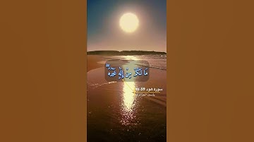 سورة هود الايه 59-61
