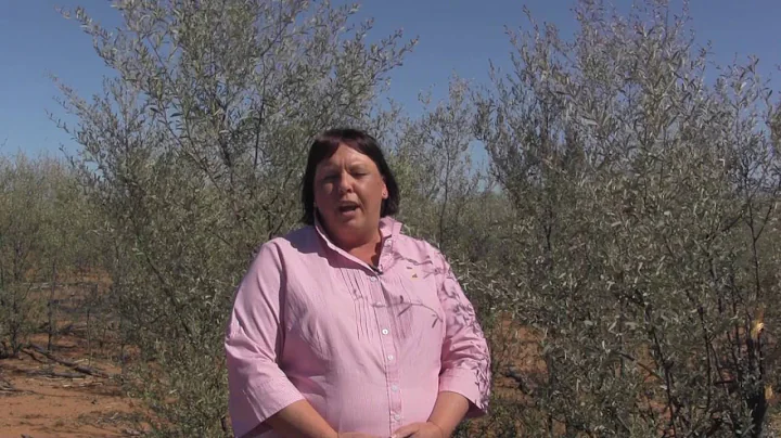 Fair Laws for Farmers - Vicki Franklin