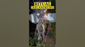 RITUAL JAELANGKUNG DARI INDONESIA  #short #shortsvideo