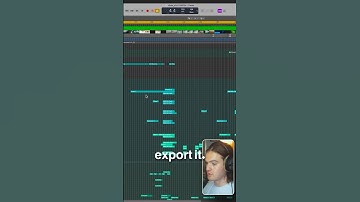 Quickly IMPORT and EXPORT Our Films | Back to Basics