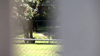 07052014 at 0524 pm - Call #6 to ICSD