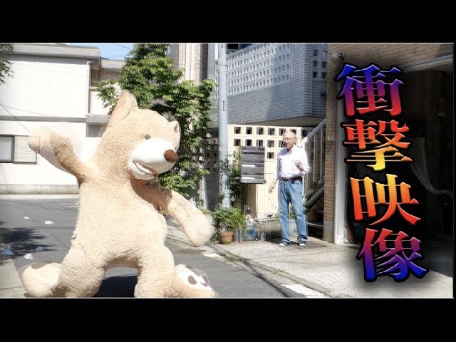 ぬいぐるみの中に入って走る映像がツボすぎるwww Youtube