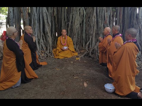 Video TT Thích Thông Lai - Nhận định đại dich Vũ Háng Trung... - youtube
