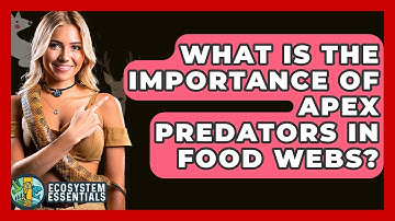What Is The Importance Of Apex Predators In Food Webs? - Ecosystem Essentials