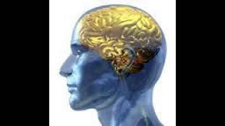 Best Forensics Online Courses | Free Online Course