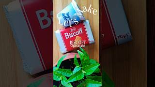 No Bake Biscoff Cheesecake 🔥 | Easy Dessert Recipe | Kidilan Taste! #shorts