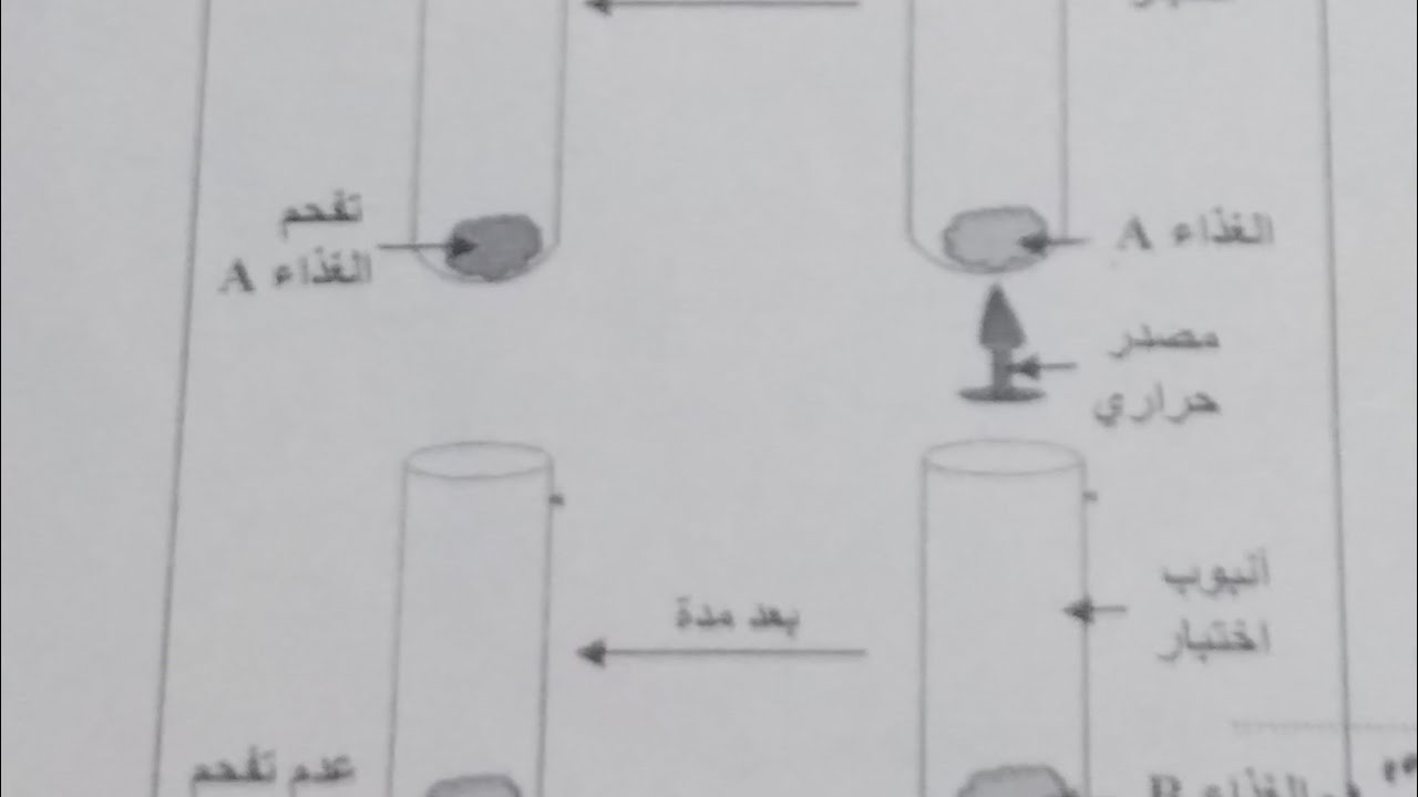 فرض العلوم الفصل الاول السنة اولى متوسط رقم 2