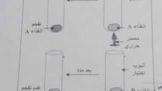 فرض العلوم الفصل الاول السنة اولى متوسط رقم 2