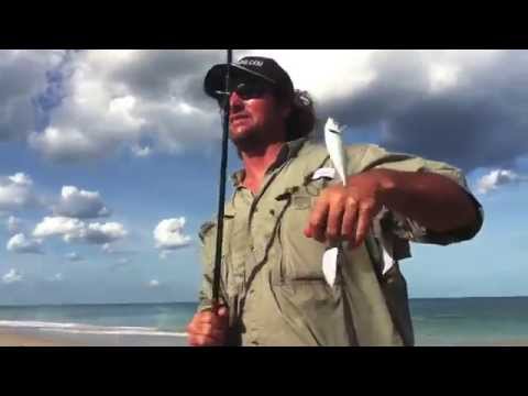 Casting Live Bait  Beach Bait Basics - The Mullet Run