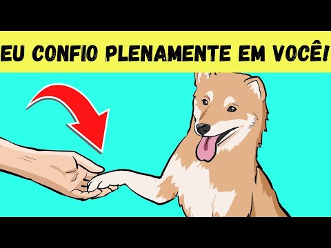 Vídeo: 6 sinais seu cão confia em você com sua vida