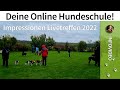Online hundeschule   deine online hundeschule  livetreffen 2022  info
