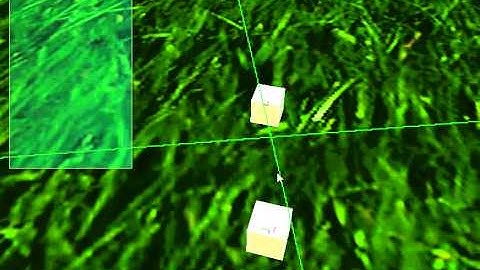 Integrating Bullet Physics Debug Drawer with DirectX 11.1