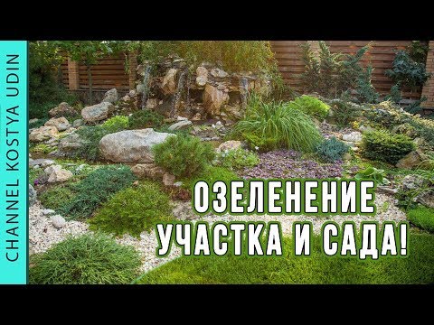 Озеленение участка и сада! Секреты дендрологии
