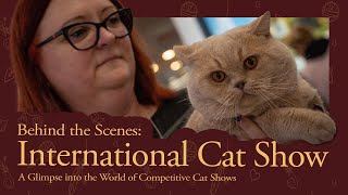 Behind the Scenes: International Cat Show