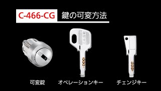 ピンキーページ PINKY&DIANNE ピンキーアンドダイアン 長財布 本革 かぶせ 大